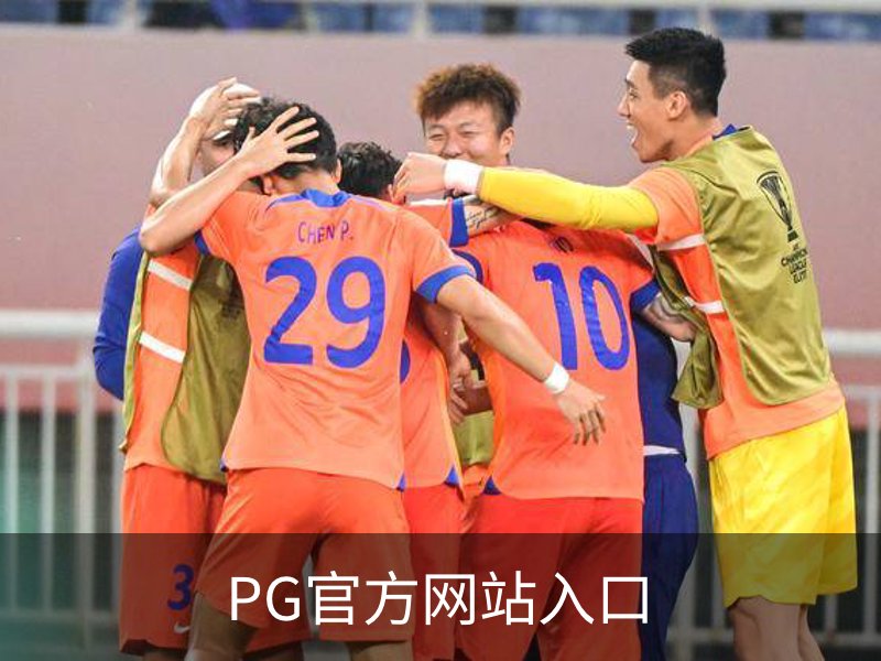 PG官方网站入口介绍